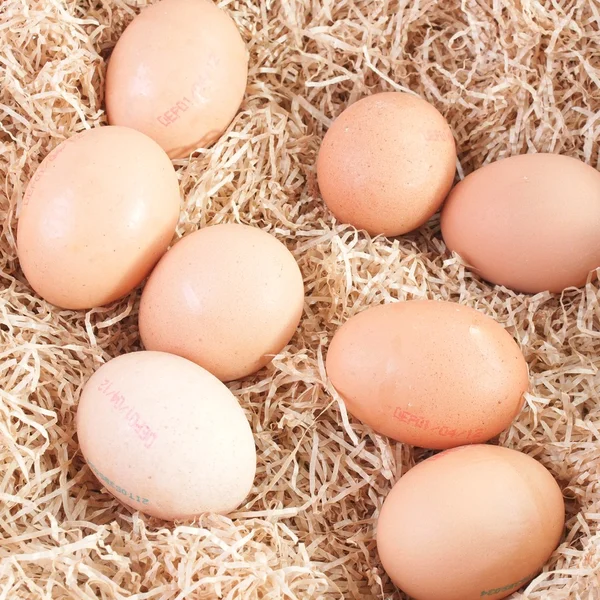 고리 버들 세공 바구니에 계란 — 스톡 사진