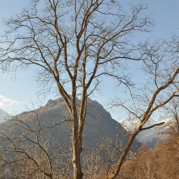 Vuori talvi kohtaus — kuvapankkivalokuva