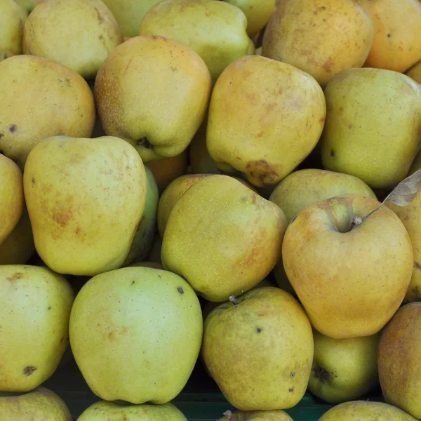 Apple fruit — Stockfoto