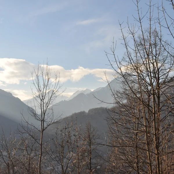 Winterszene im Gebirge — Stockfoto