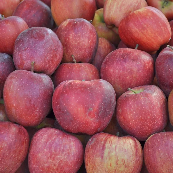 Frutta di mela — Foto Stock