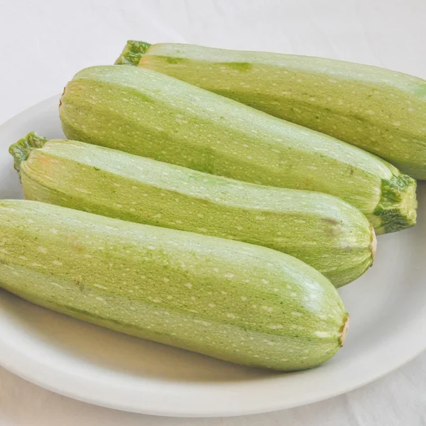Zucchini mit Zucchini — Stockfoto