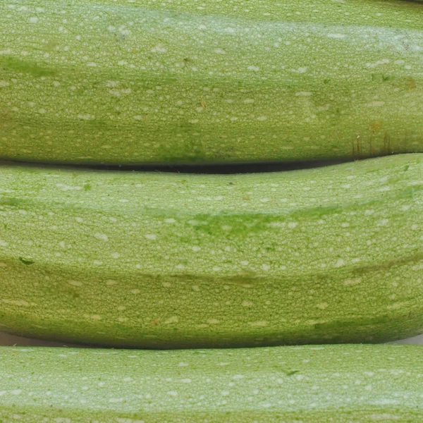 Calabacines calabacín — Foto de Stock