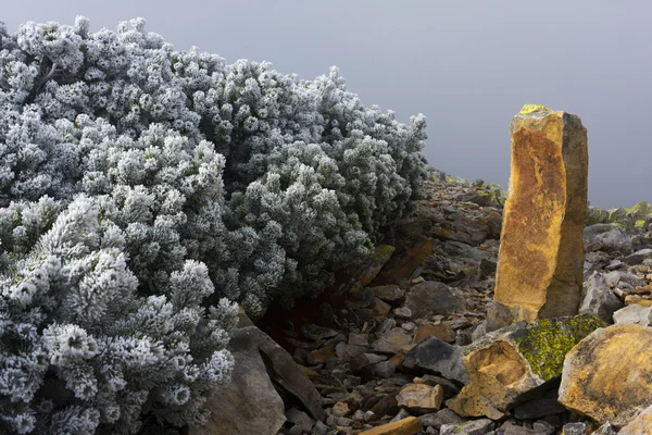 Φθινόπωρο στα Καρπάθια Όρη — Φωτογραφία Αρχείου