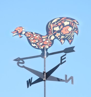 Oku çatıda dekoratif bir penis. Rüzgar gülü