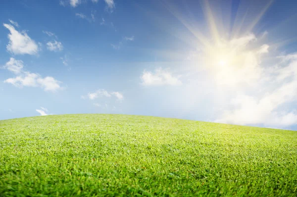 Green field of grass and perfect cloudy sky — Stock Photo, Image