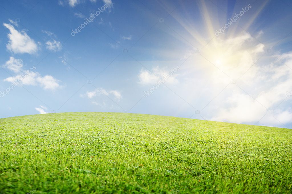 Green field of grass and perfect cloudy sky