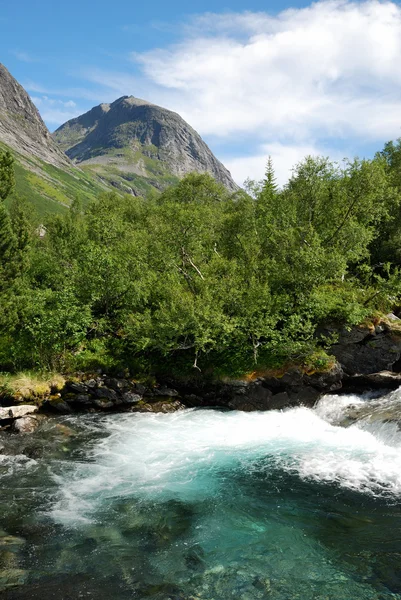 산악 강. — 스톡 사진