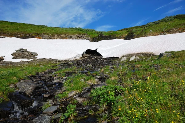 Melting snowfield on the green hill. — Stock Photo, Image