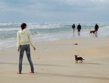 Walk on the windy beach. clipart