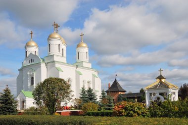 The Zymne castle-convent in Ukraine clipart