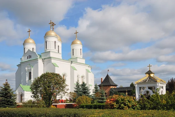 Зимний замок-монастырь в Украине — стоковое фото