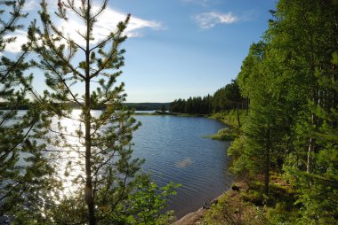 Swedish lake at sunset clipart