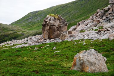 taş ve çakıl taşları ile yeşil yosunlu hill. mageroya.