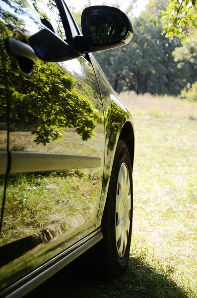 Auto met reflecties van groene bomen in zonnige glade. — Stockfoto
