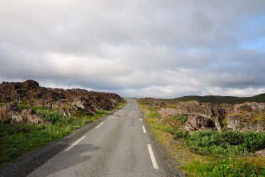 Yaz aylarında hamningberg giden yol.