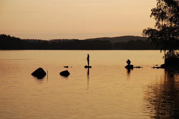 Лесное озеро на закате . — стоковое фото