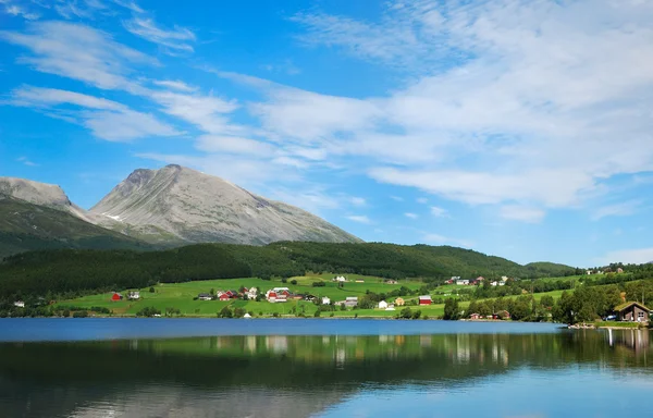 Zomer uitzicht op de fjord met groene kust. — Stockfoto