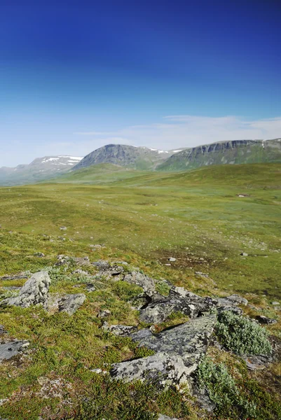 Vista de verano de Suecia Laponia . —  Fotos de Stock