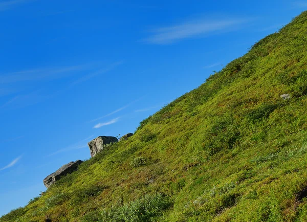 緑の丘と青い空のバイアス麓. — ストック写真