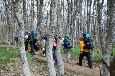 turistler orman hiking.