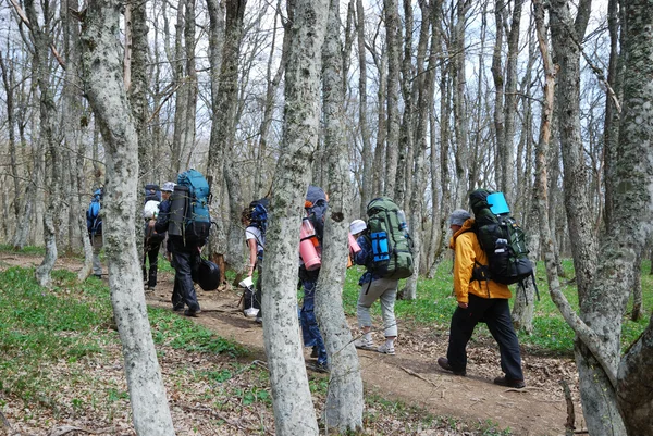 Turister vandring genom skogen. — Stockfoto