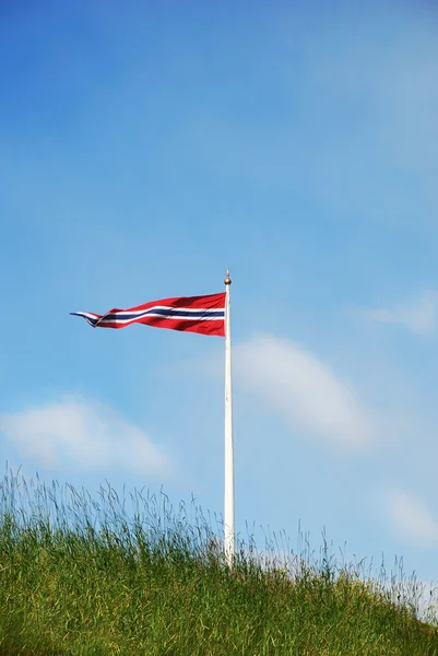 Norwegian flag flying on the green roof — Stock Photo, Image