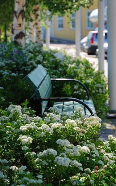 Panca ombreggiata in mezzo ai cespugli fioriti — Foto Stock