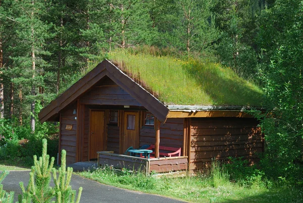 Holzhaus mit begrüntem Dach im skandinavischen Wald. Stockbild