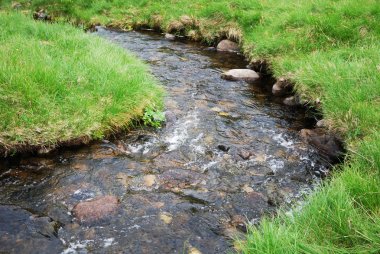 Meandering stream in green grass. clipart