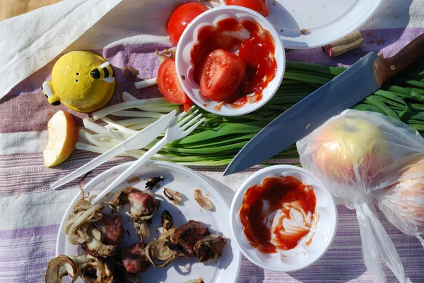 Detail piknik jídlo — Stock fotografie