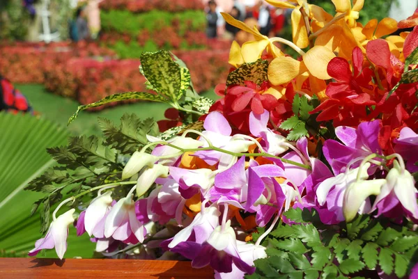 Banda na výstavě květin — Stock fotografie