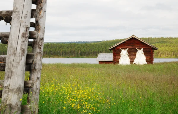 フェンスで囲まれた牧草地の間で乾燥した草原の小屋. — ストック写真