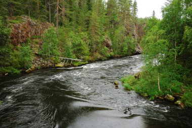 Rapid river in taiga forest, Juuma, Finland clipart