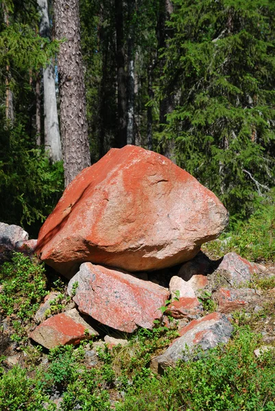 緑の森で赤味がかった石 — ストック写真