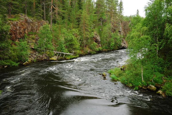 Hurtig flod i taiga skov, Juuma, Finland - Stock-foto