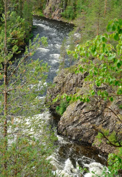 Snelle rivier met steenachtige rivieroevers in taiga bos — Stockfoto
