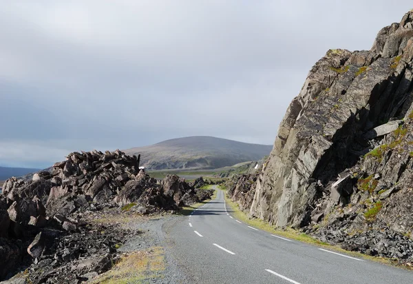 Road to Hamningberg in summer. — Stock Photo, Image