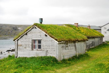 Wooden houses with green roofs in Hamningberg. clipart