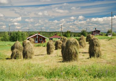 Finnish country landscape with vintage haystacks clipart