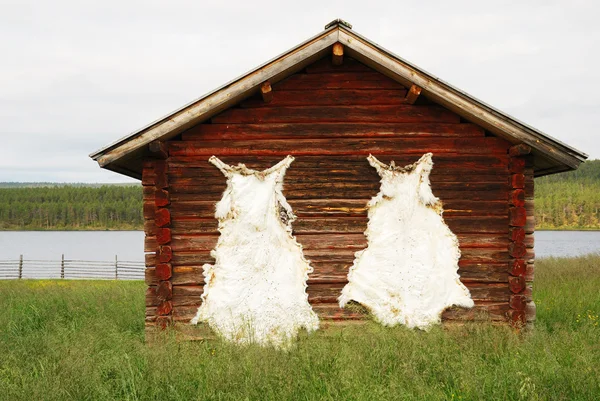 Houten hut met gedroogde rendieren fells onder grasland — Stockfoto