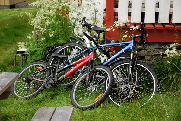 Bikes near wooden porch in green yard. — Stock Photo, Image