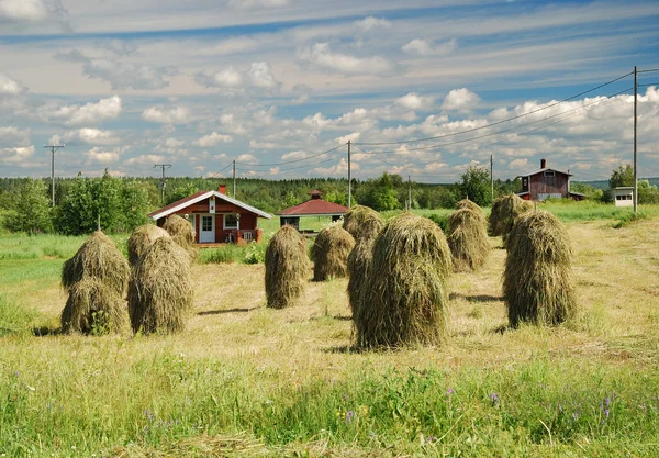 Финский ландшафт со старинными стогами сена — стоковое фото