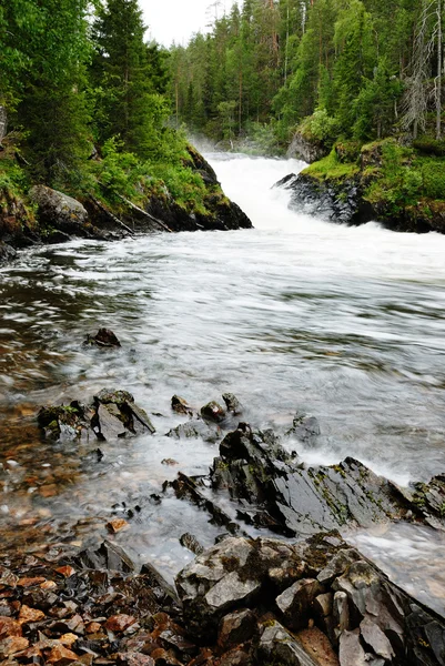 Stroomversnellingen van de kitkajoki rivier, finland. — Stockfoto