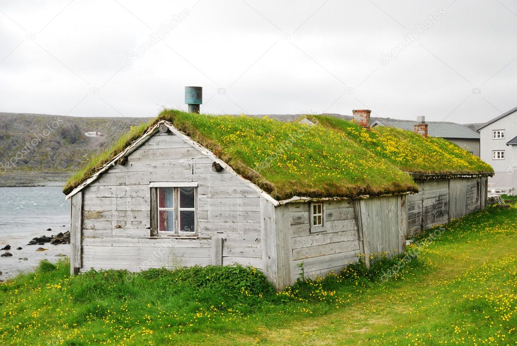 Wooden houses with green roofs in Hamningberg.