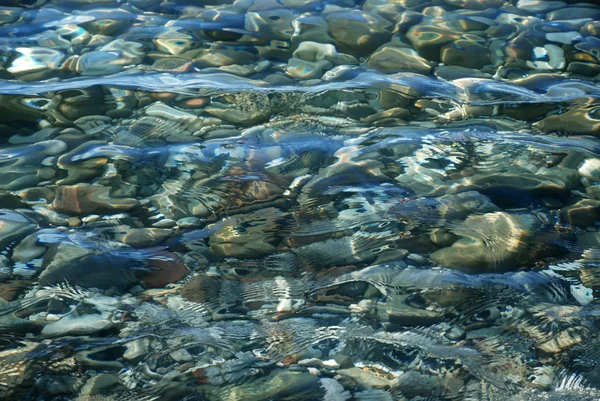 Close-up van kiezelstenen bodem door zeewater — Stockfoto
