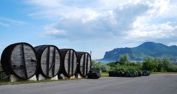 Crimean landscape with vine barrels. — Stock Photo, Image