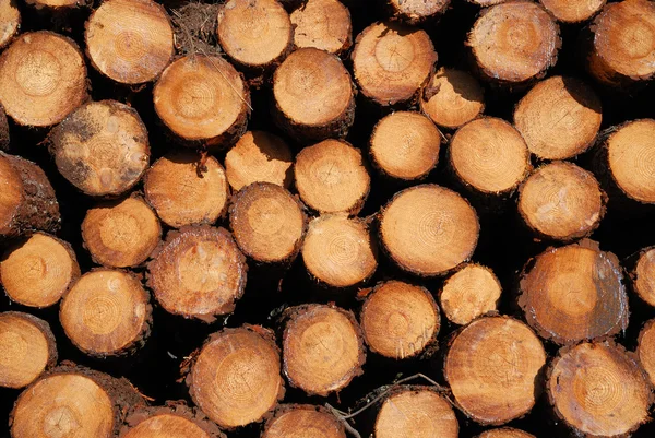 Detail dřevěné zásobníku. dřevěné pozadí. — Stock fotografie