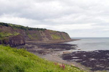 The cliffs at Robin hoods bay clipart