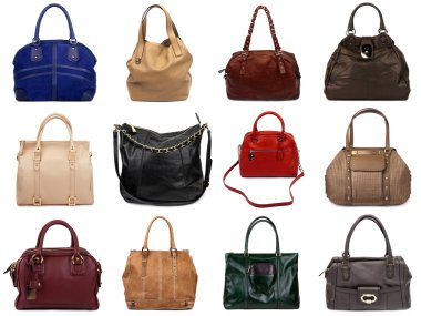 Set of multicolored female bags-4 clipart